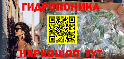 гидропоника Кохма